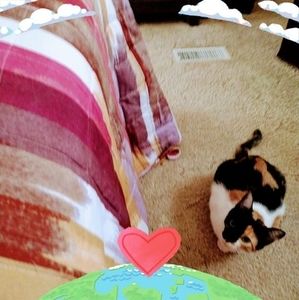 Meet your Posher, Janet